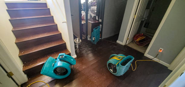 Best Professional water damage repair  in Girard, PA