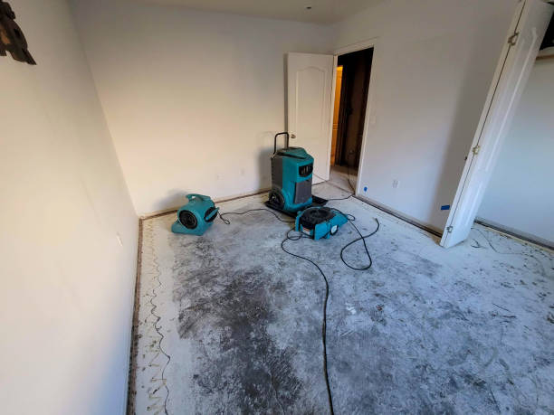 Best Water damage restoration company  in Girard, PA
