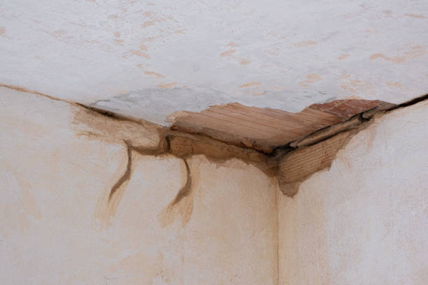 Best Sewage cleanup and water damage restoration  in Girard, PA
