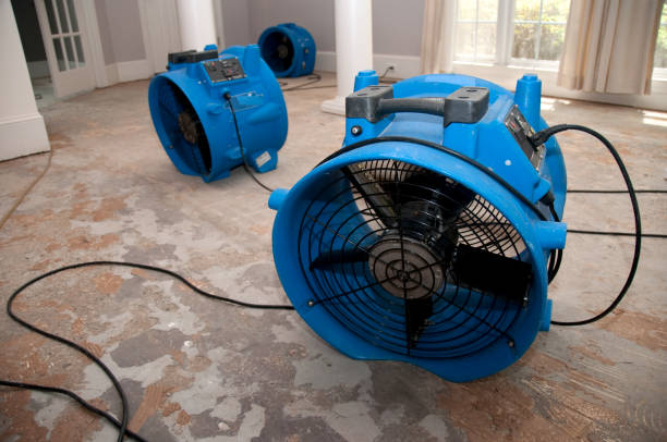 Best Flood restoration services  in Girard, PA