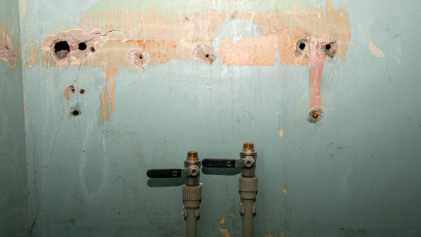 Best Water damage restoration services  in Girard, PA