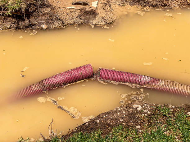 Best Flood restoration services  in Girard, PA